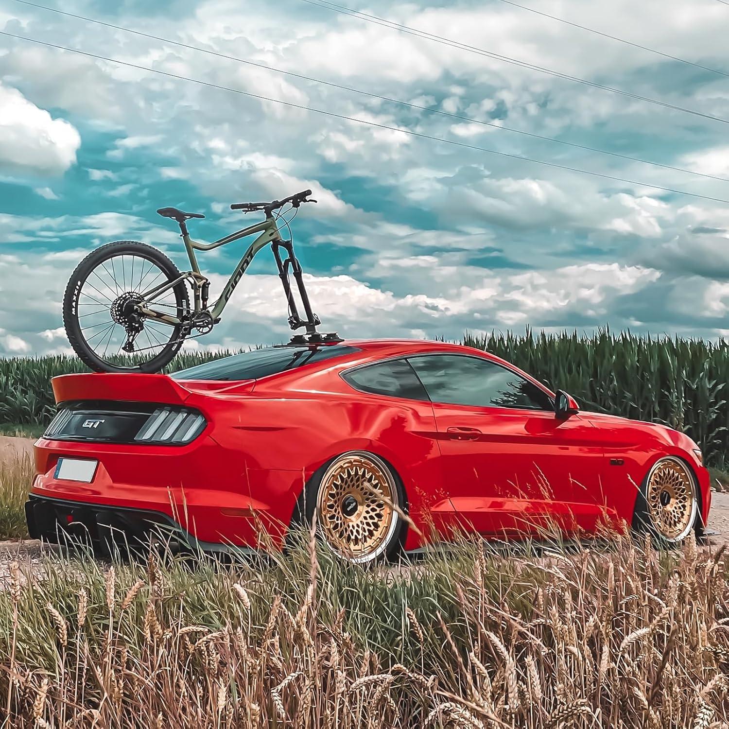 Soporte de Bicicleta ROCKBROS con Ventosa para Techo - 1 Bicicleta