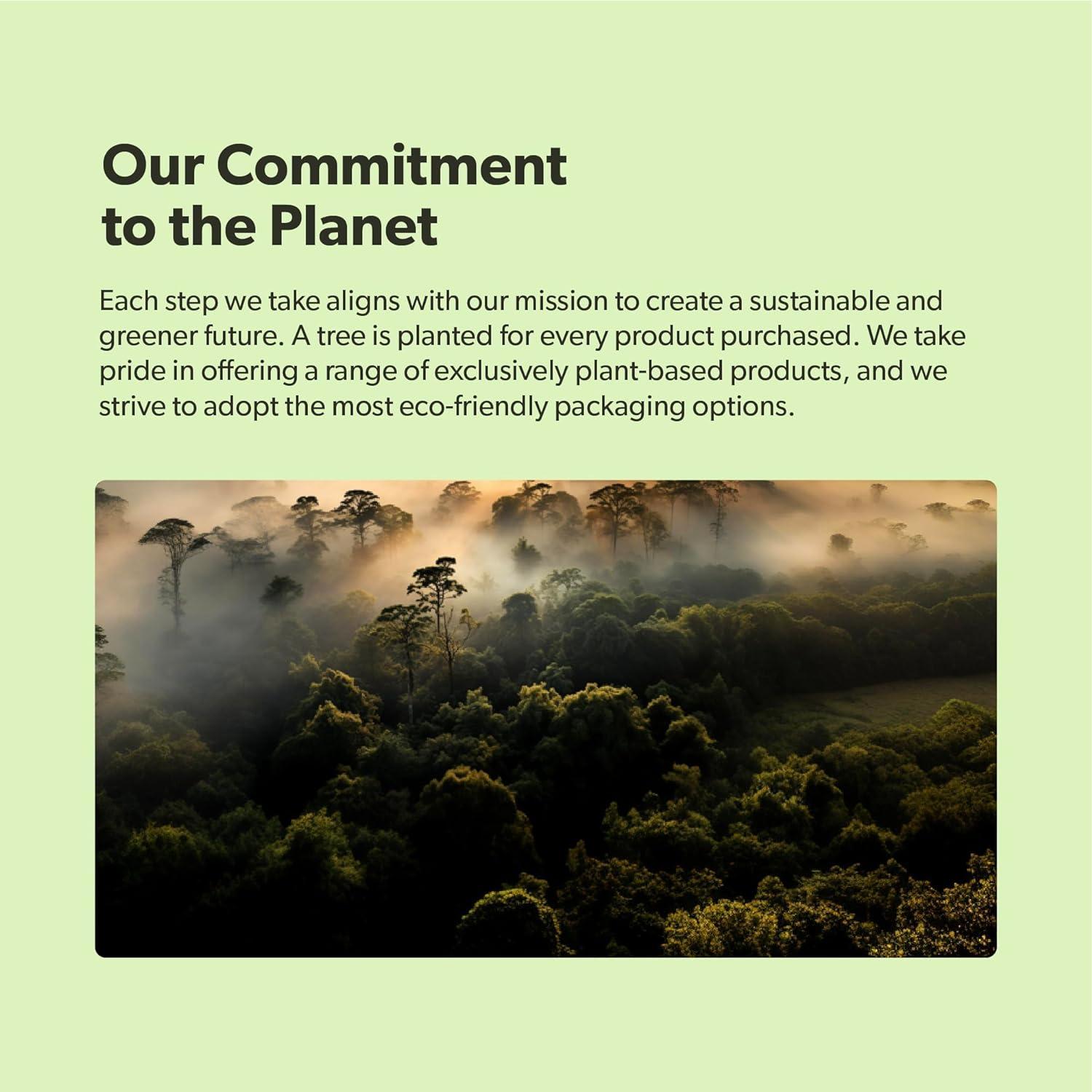 Suplemento Omega 3 Vegano We Are Fit - 60 Cápsulas de Algas