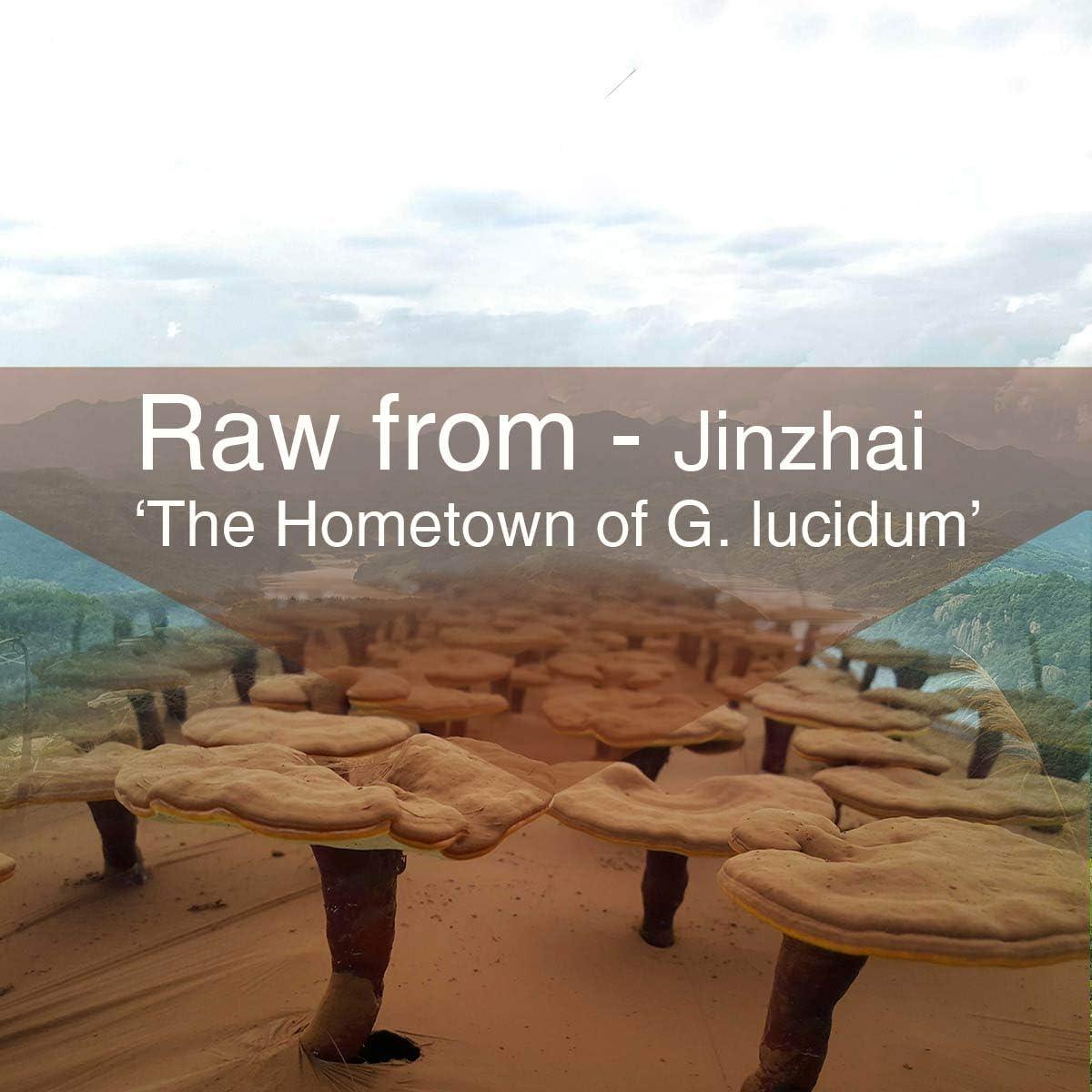 Polvo de Hongo Reishi 200g Yuanziyaunfang - Esporas Rojas Rojas