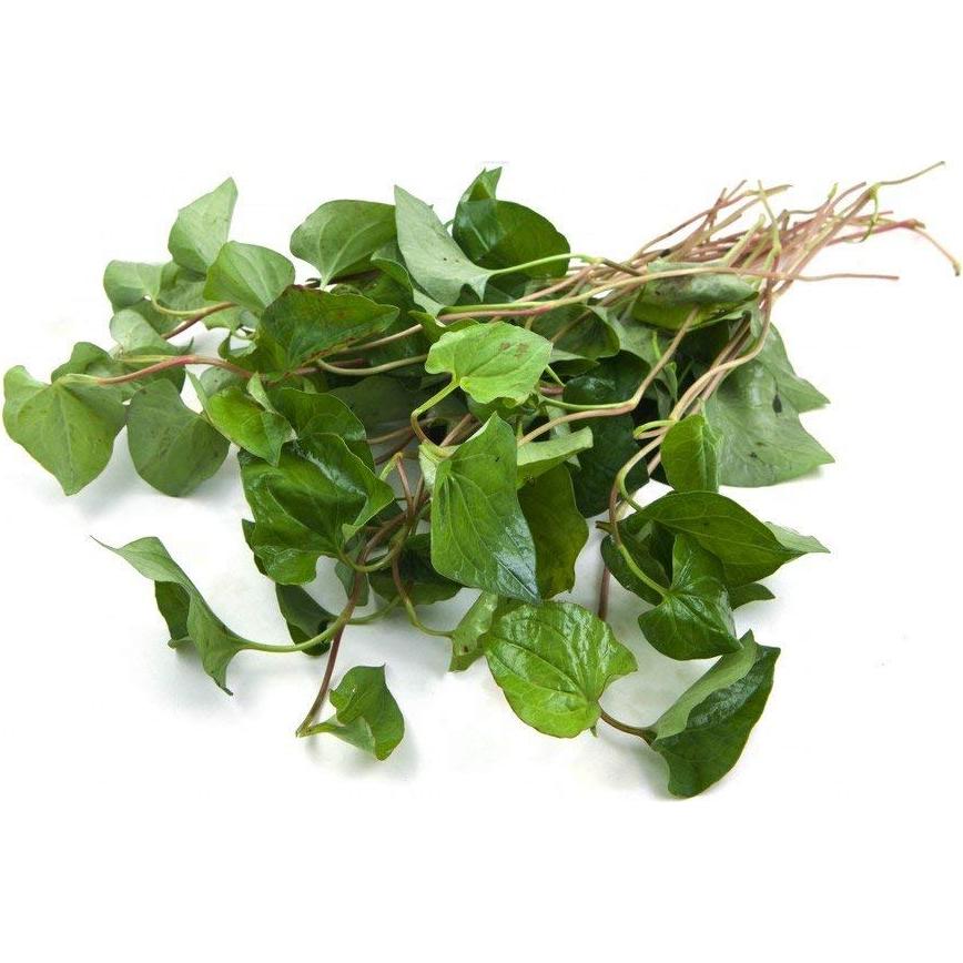 Hierba Houttuynia seca Nature Tea 28.35 g - 100% Natural