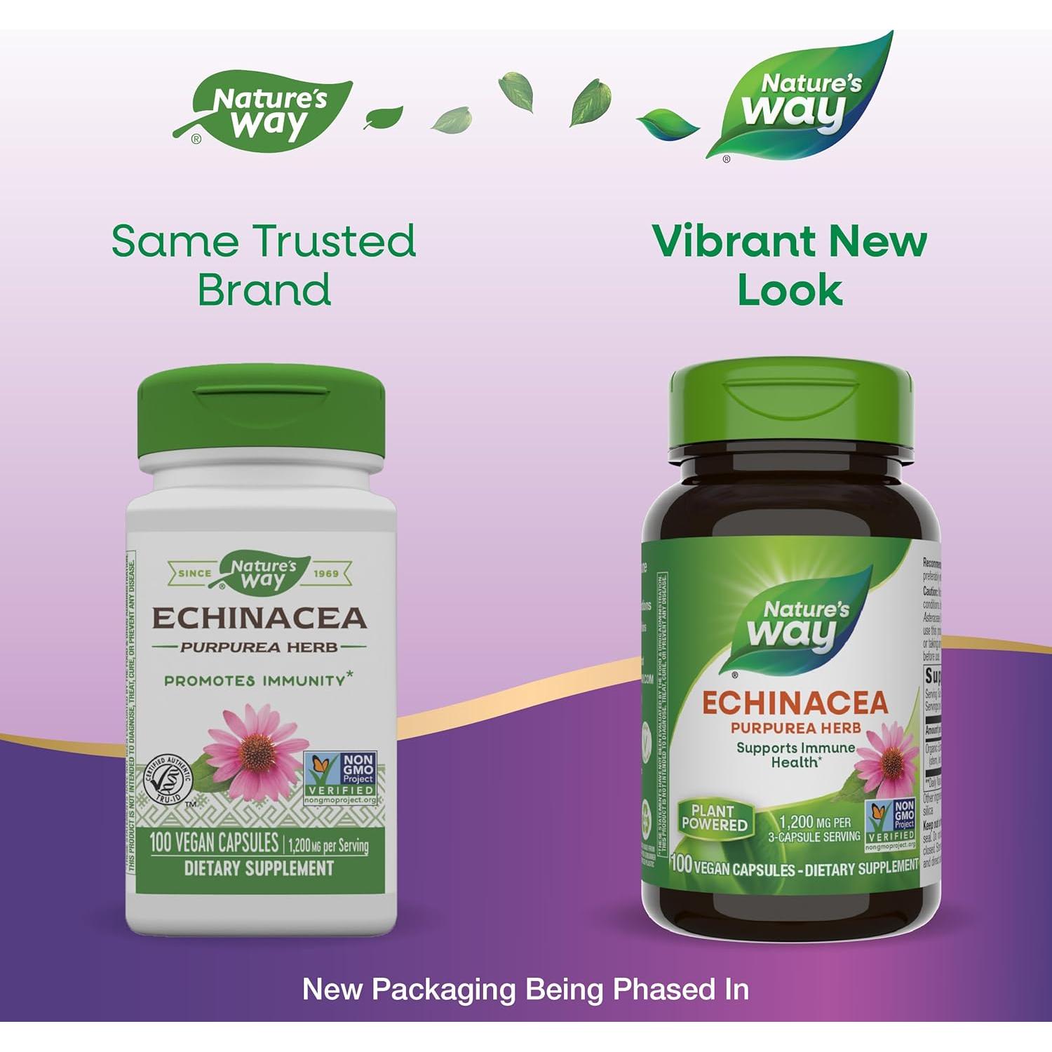 Echinacea Purpurea Nature's Way 1200 mg 100 Cápsulas Veganas