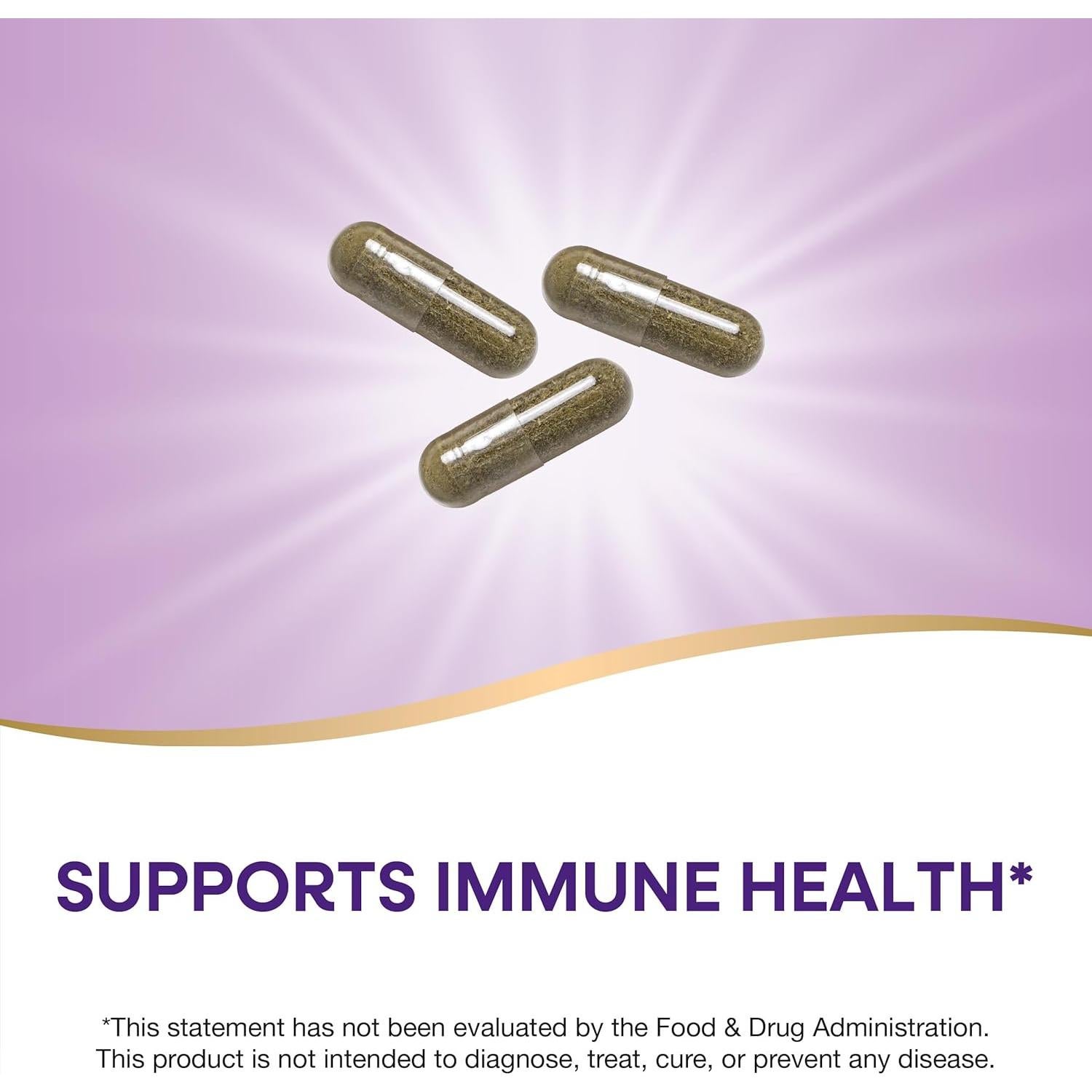 Echinacea Purpurea Nature's Way 1200 mg 100 Cápsulas Veganas