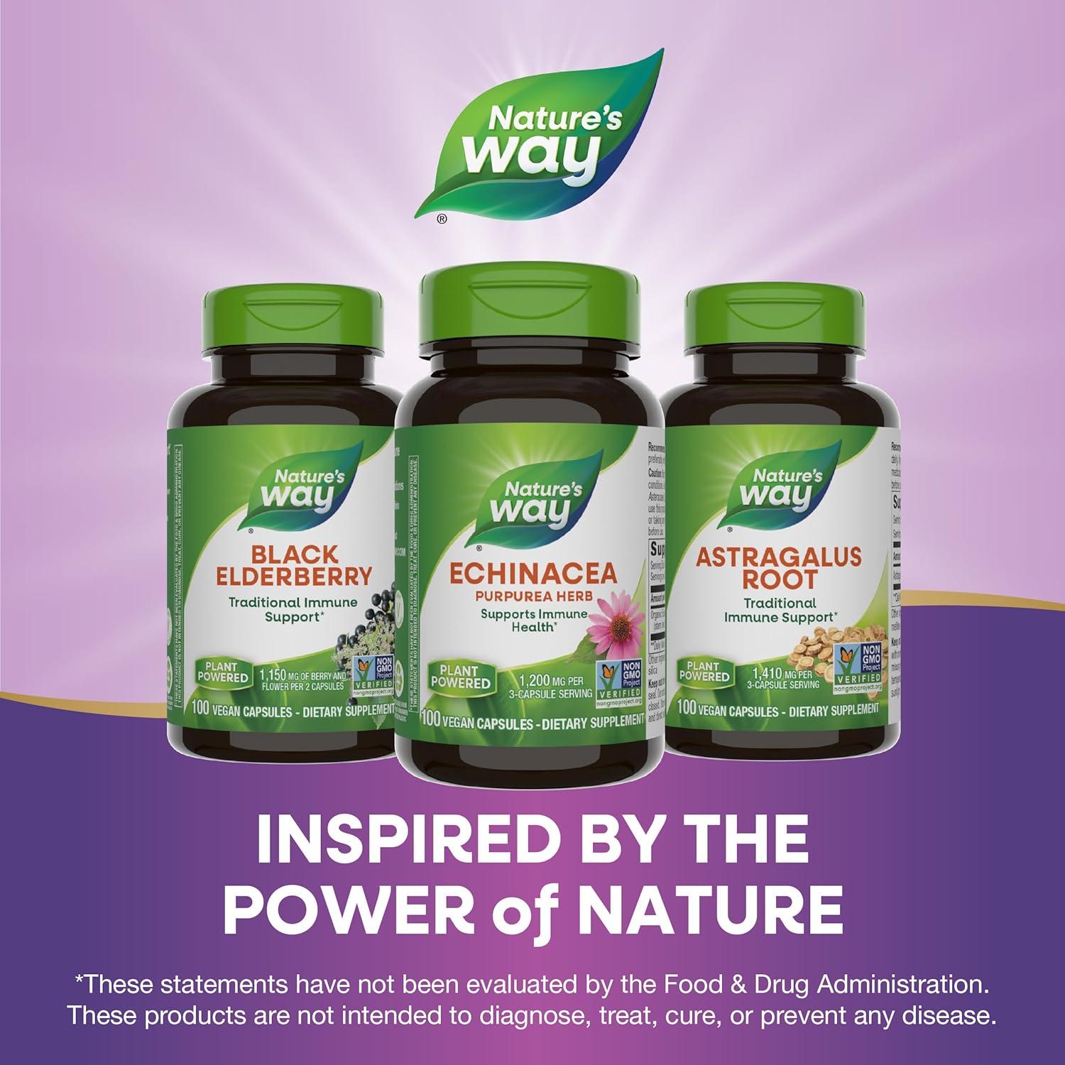 Echinacea Purpurea Nature's Way 1200 mg 100 Cápsulas Veganas