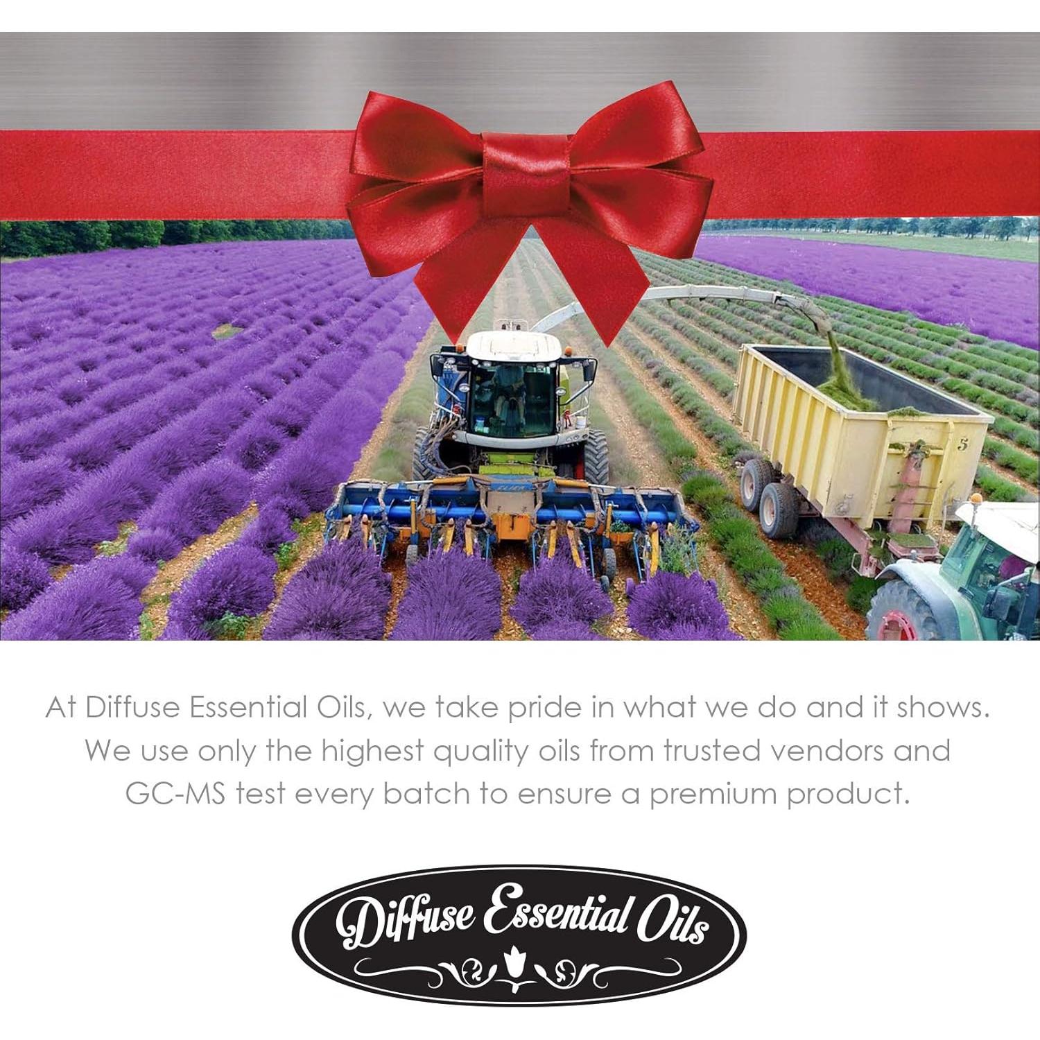 Aceite Esencial de Raíz de Angélica 10ml Diffuse Essential Oils