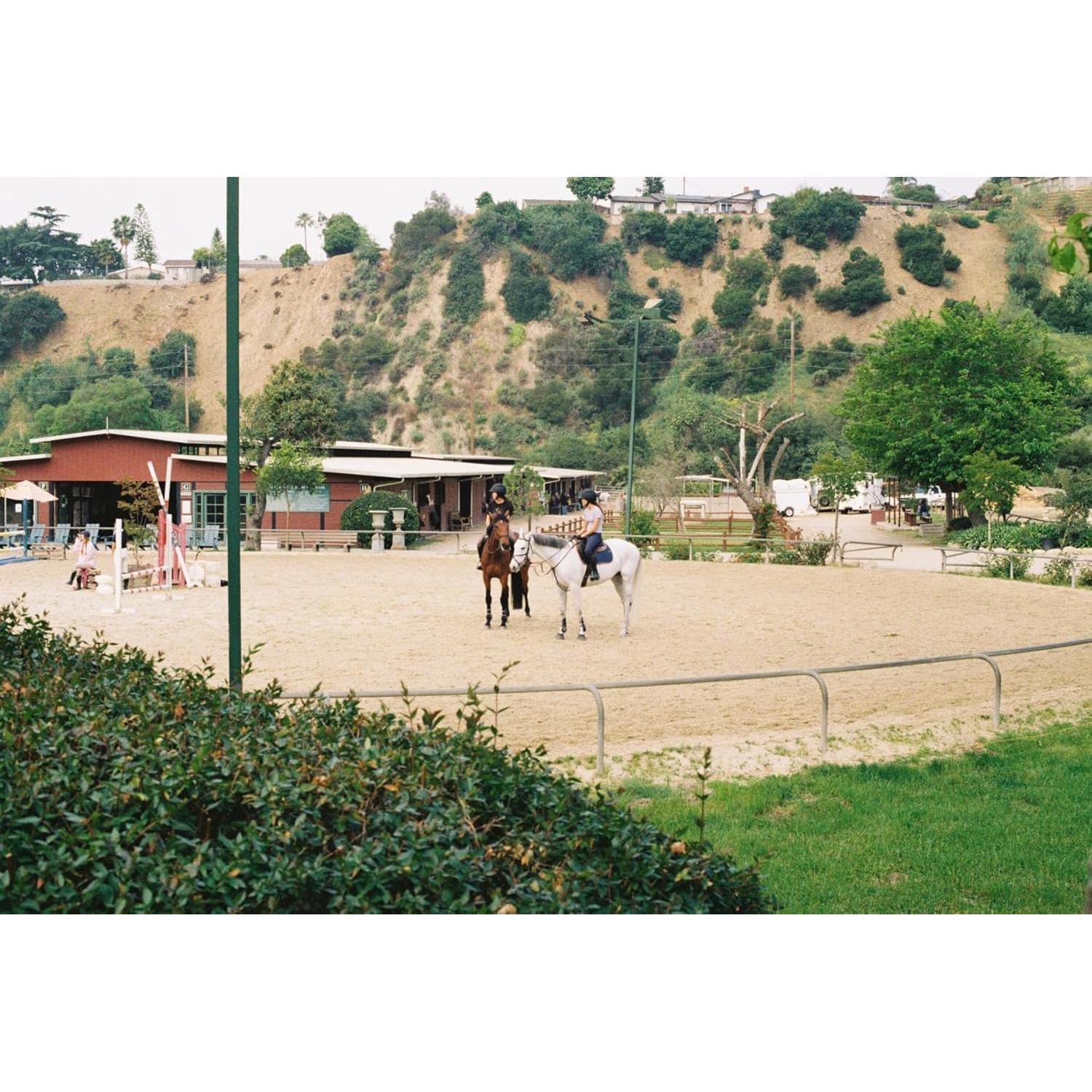 Película Negativa Color FUJIFILM 200 - Paquete de 3 Rolls 36 Exposiciones