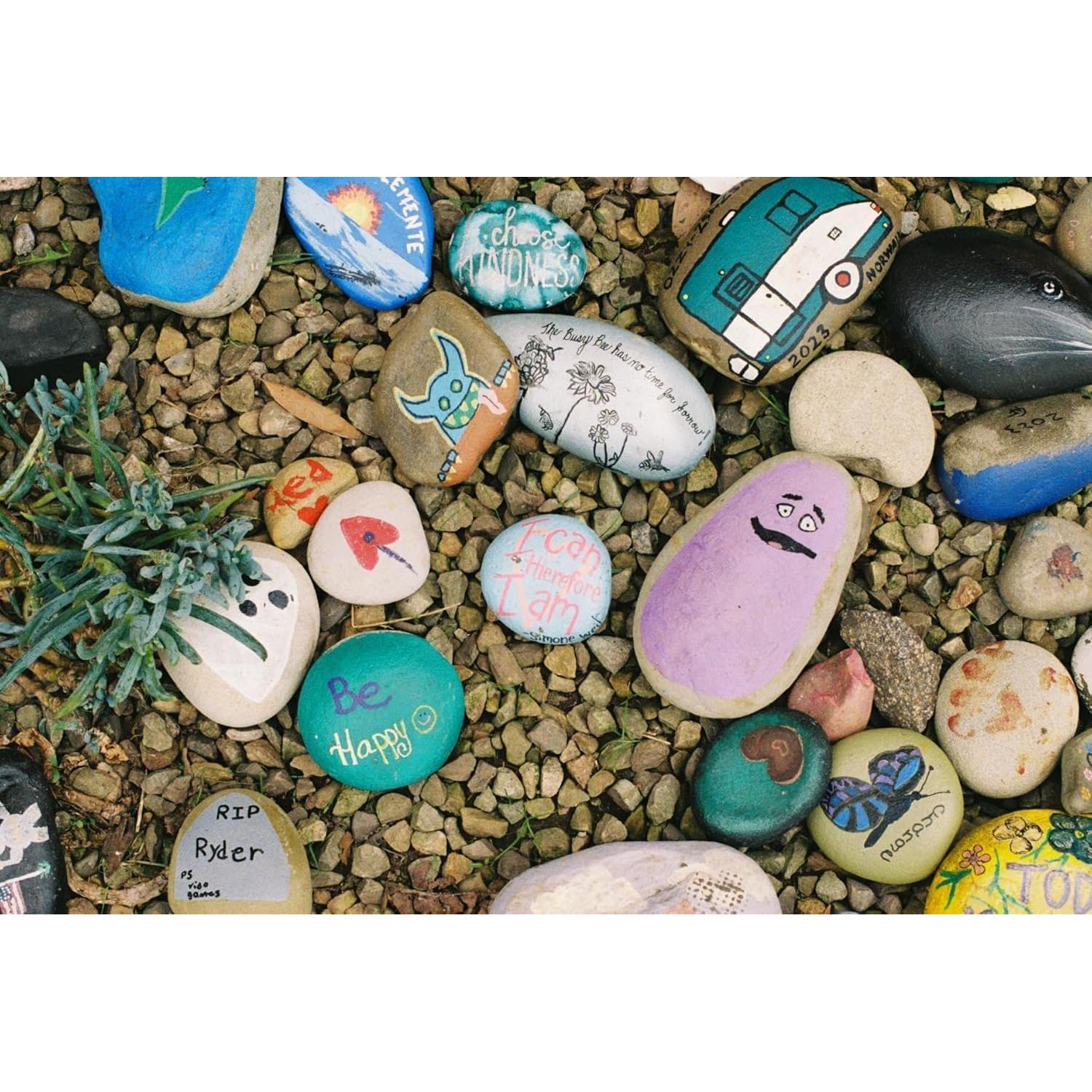 Película Negativa Color FUJIFILM 200 - Paquete de 3 Rolls 36 Exposiciones