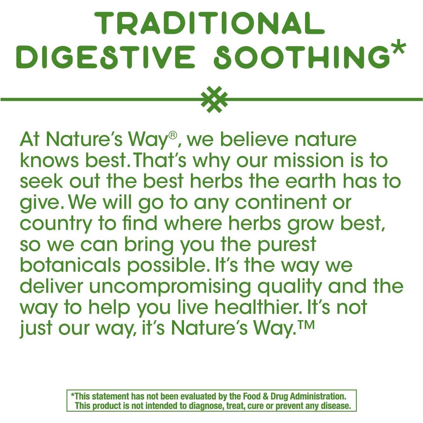 Hoja de Menta Nature's Way 700mg - 100 Cápsulas (Paquete de 2)