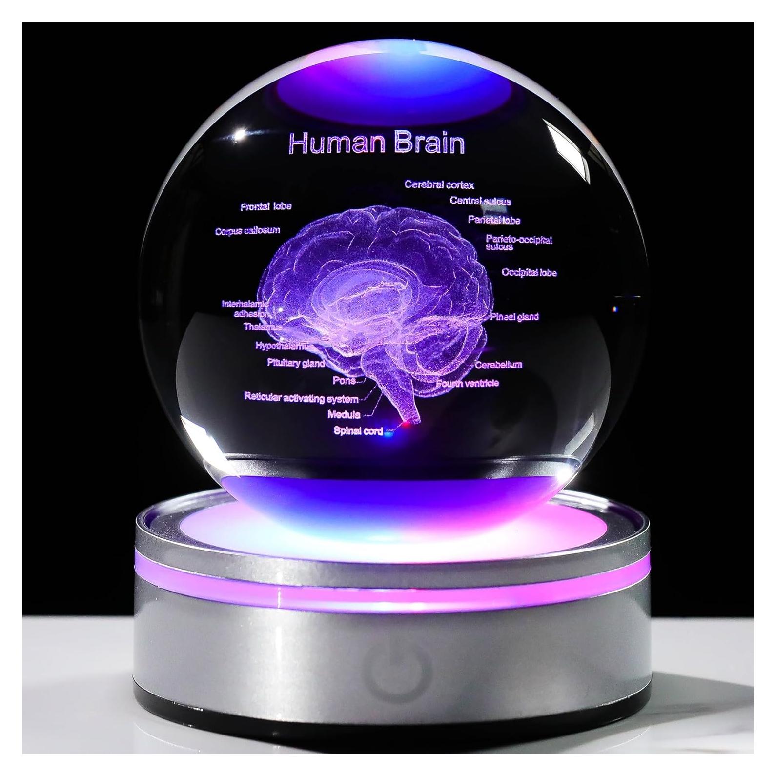 Bola de Cristal 3D Cerebro Humano 8 cm con Base LED Arikyrist