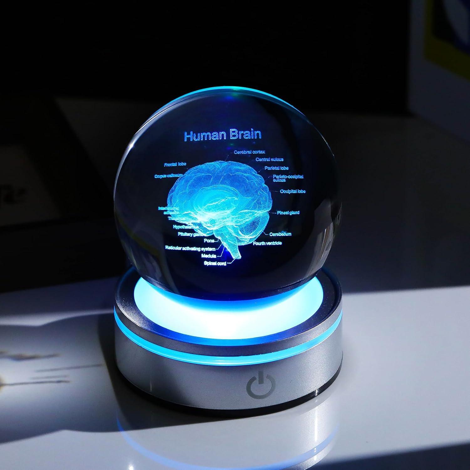 Bola de Cristal 3D Cerebro Humano 8 cm con Base LED Arikyrist