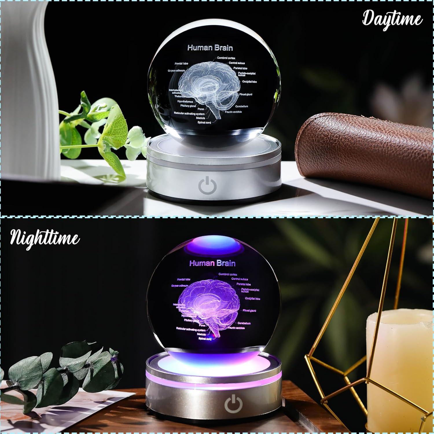 Bola de Cristal 3D Cerebro Humano 8 cm con Base LED Arikyrist