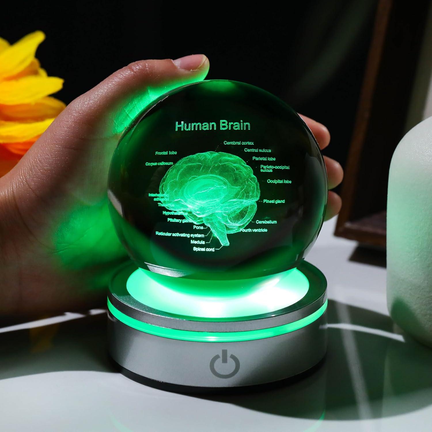 Bola de Cristal 3D Cerebro Humano 8 cm con Base LED Arikyrist