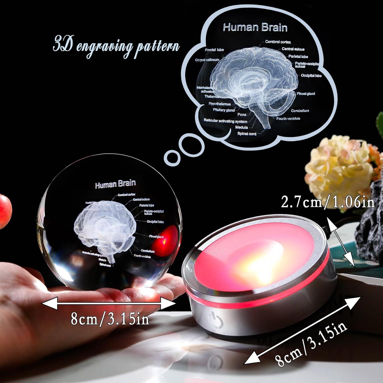 Bola de Cristal 3D Cerebro Humano 8 cm con Base LED Arikyrist