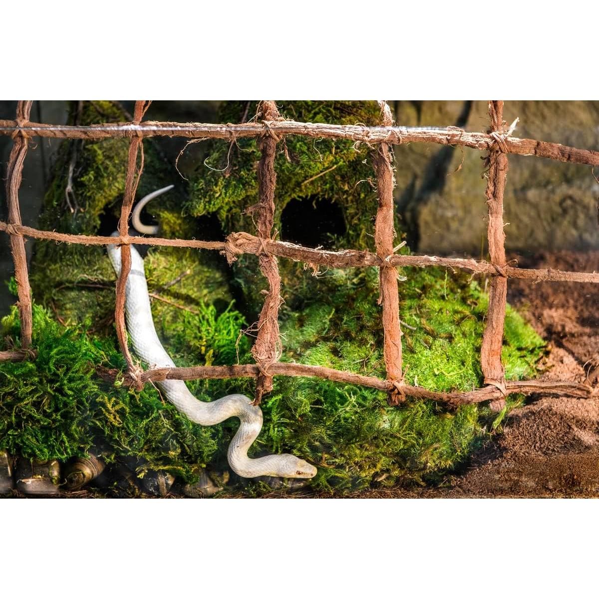 Musgo Sphagnum Verde Galápagos 4QT para Terrario