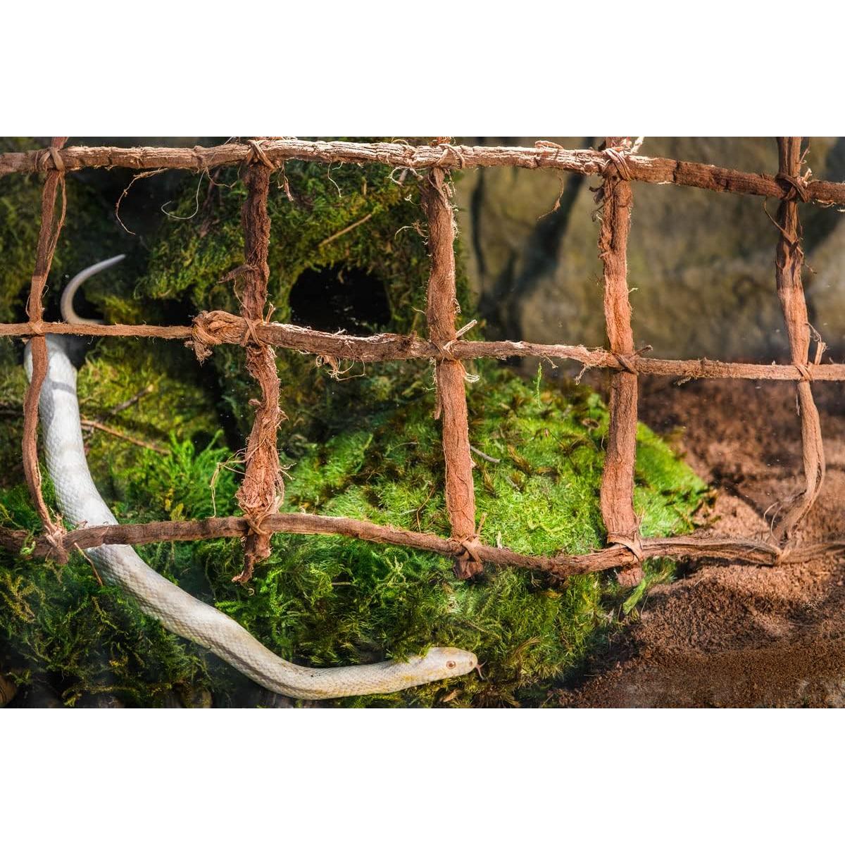 Musgo Sphagnum Verde Galápagos 4QT para Terrario