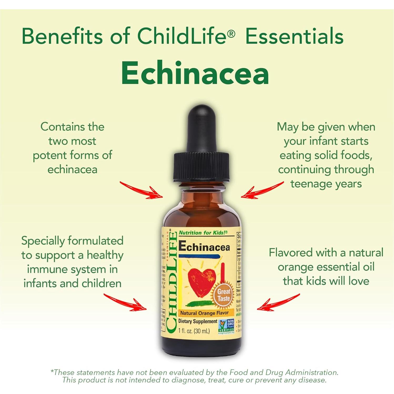 CHILDLIFE ESSENTIALS Echinacea for Kids - Kids Echinacea Drops, Liquid Tincture, Alcohol Free Supplement for Babies, Toddlers, Children - Natural Orange, 1 Fl Oz (Pack of 1)