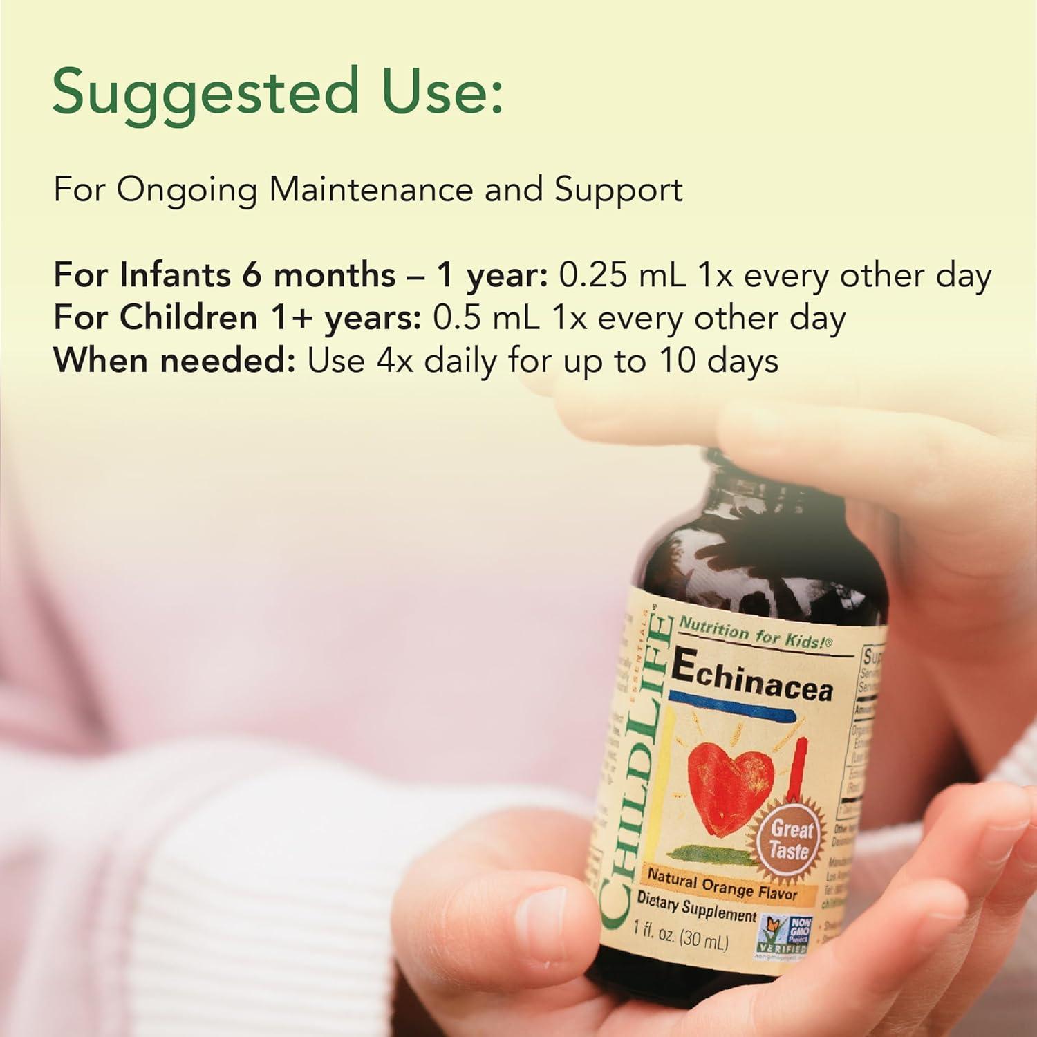 CHILDLIFE ESSENTIALS Echinacea for Kids - Kids Echinacea Drops, Liquid Tincture, Alcohol Free Supplement for Babies, Toddlers, Children - Natural Orange, 1 Fl Oz (Pack of 1)