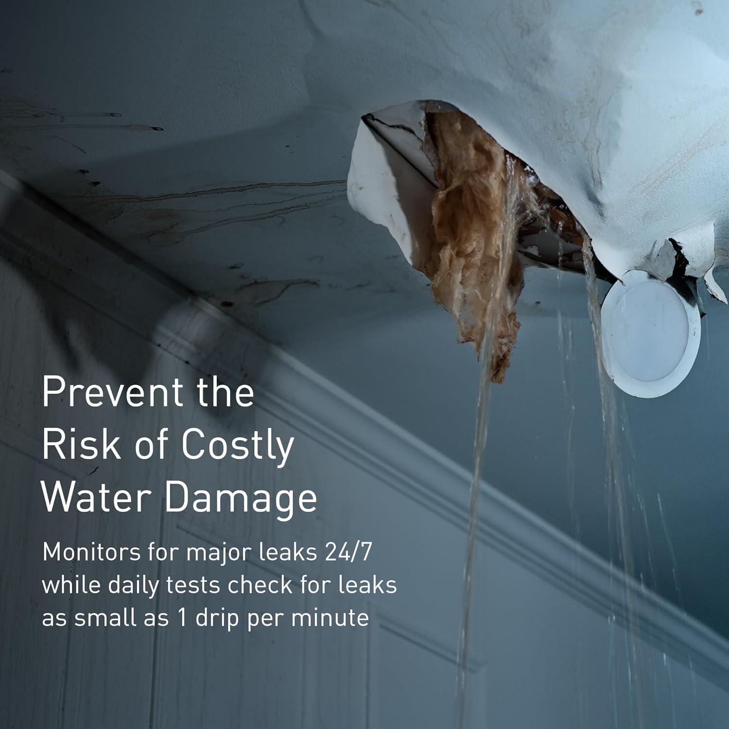 Monitor de Agua Inteligente Moen 900-006 para Tuberías 2.54 cm