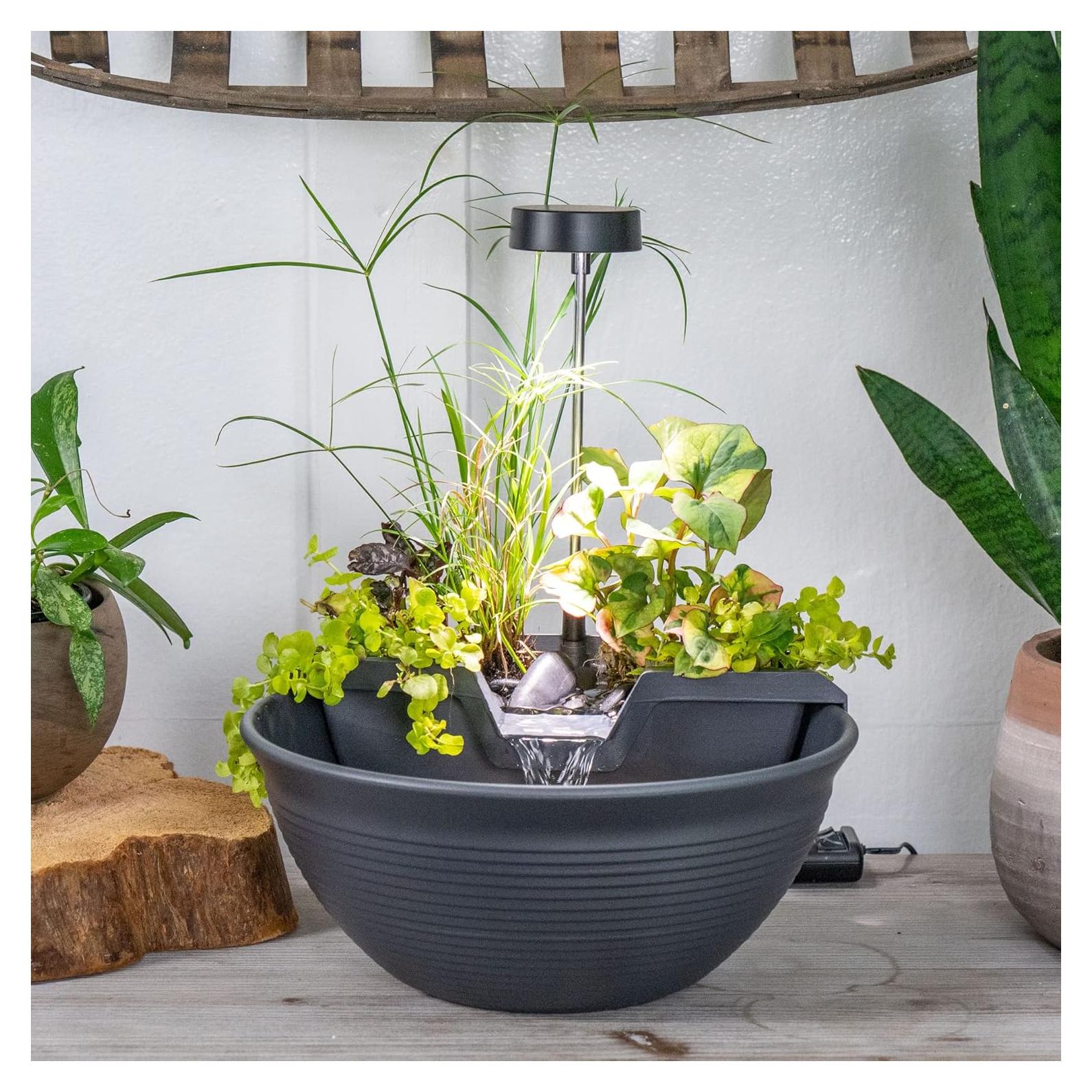 Kit de Fuente de Escritorio Aquascape AquaGarden Gris 29.2cm