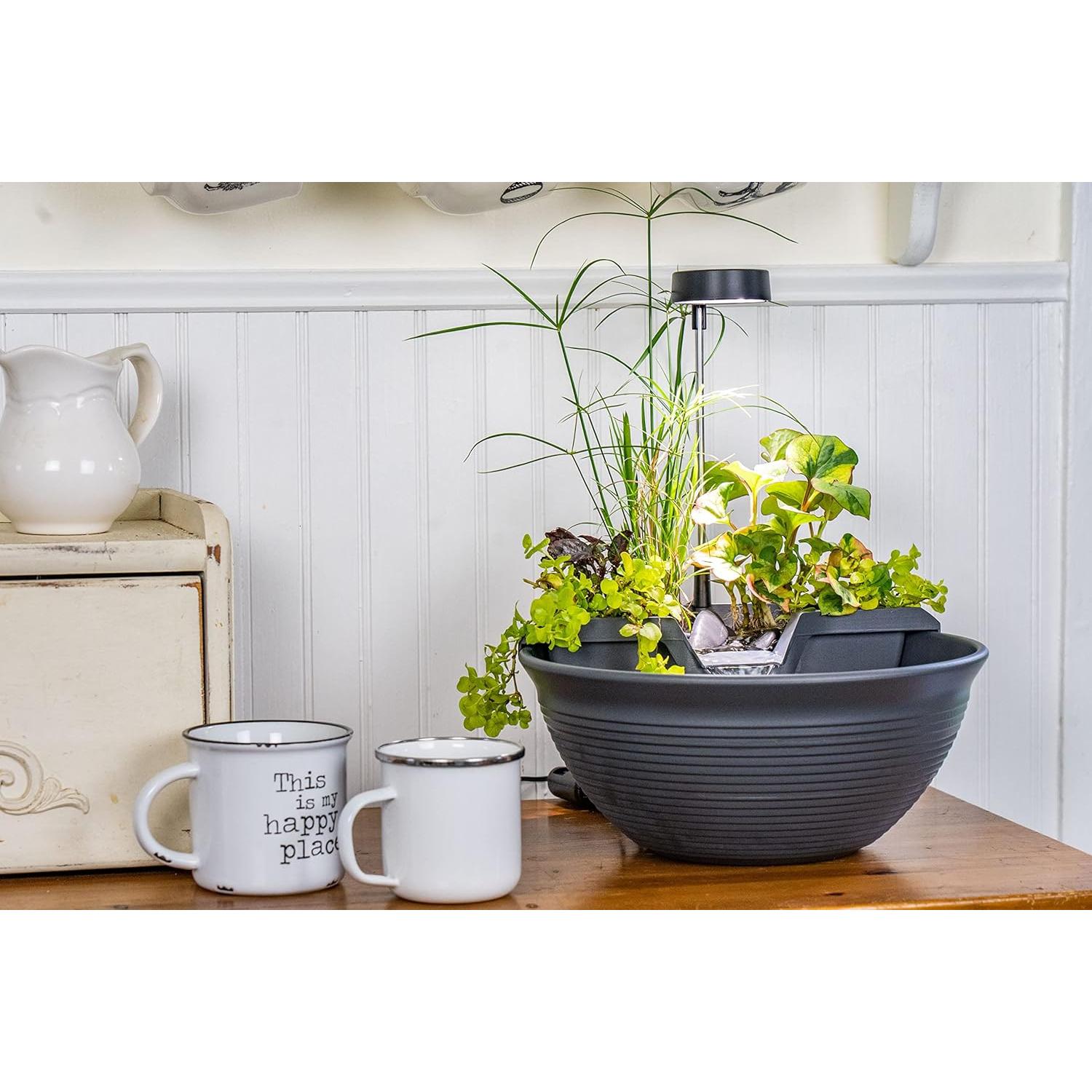 Kit de Fuente de Escritorio Aquascape AquaGarden Gris 29.2cm