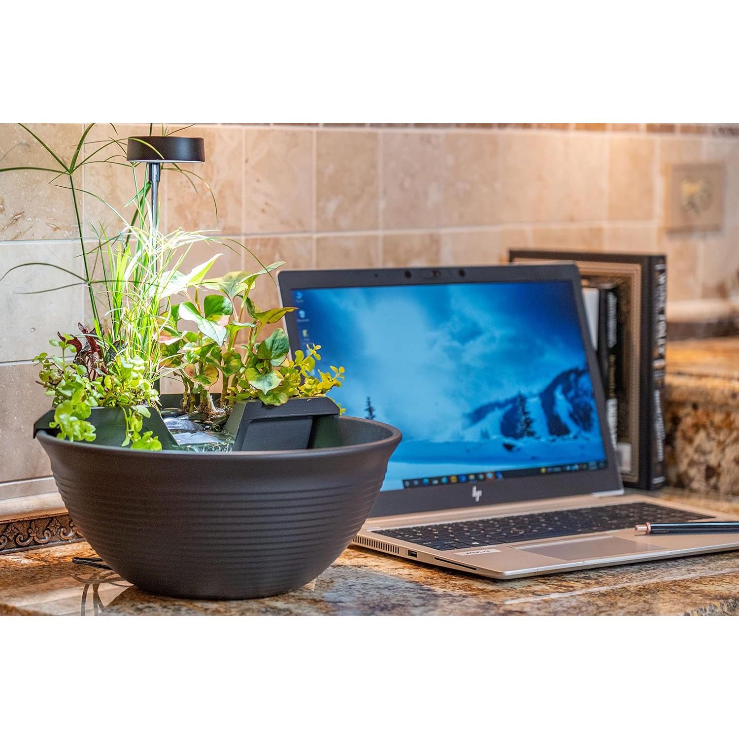 Kit de Fuente de Escritorio Aquascape AquaGarden Gris 29.2cm