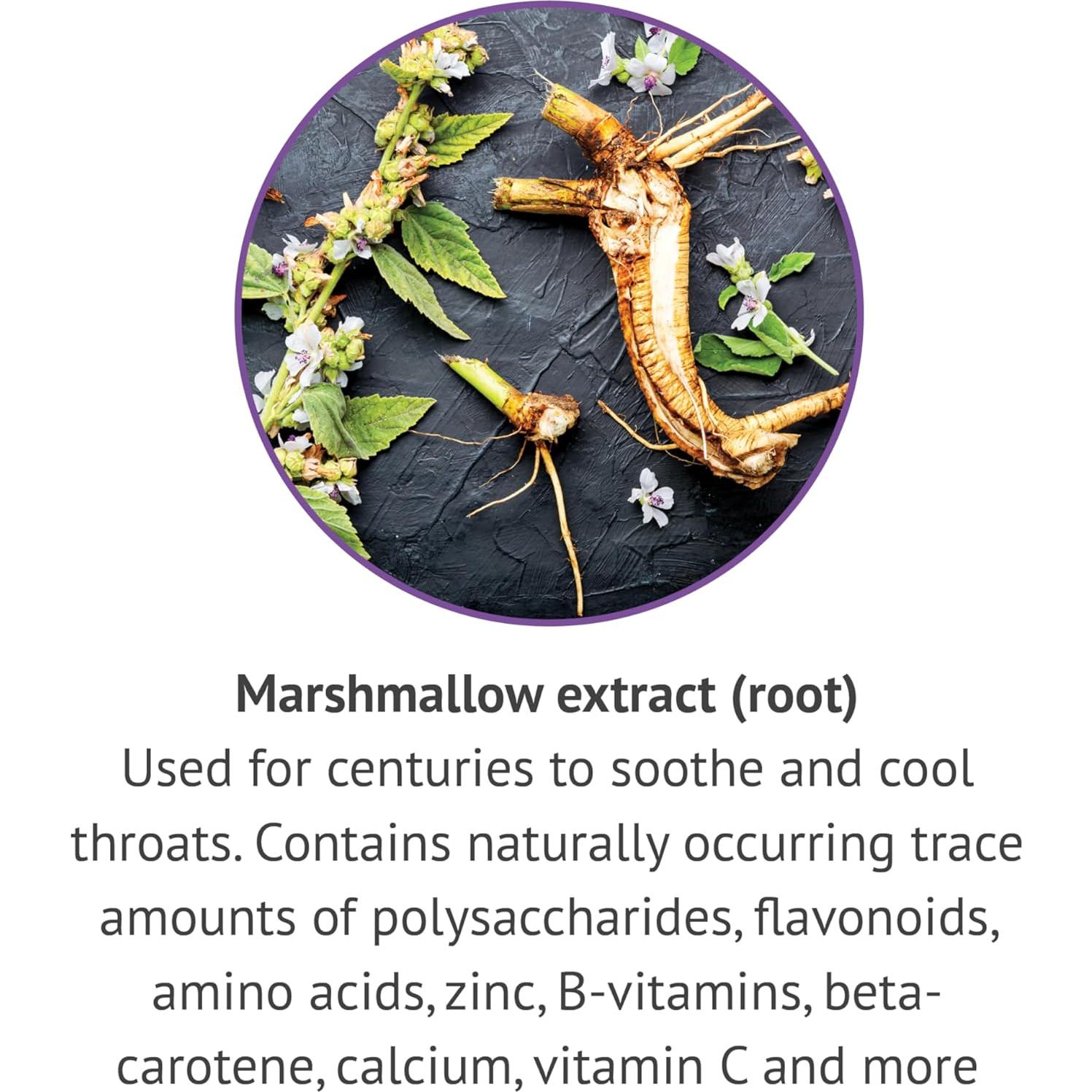 Extracto Líquido de Raíz de Malvavisco Botanic Choice 29.57 ml