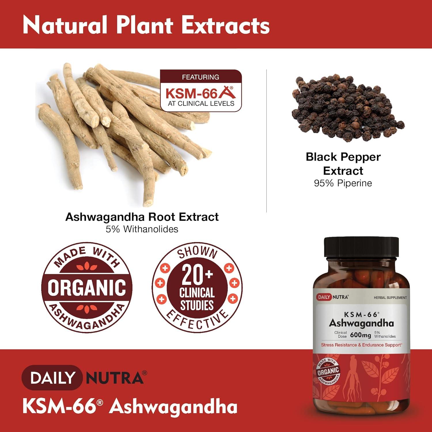 KSM-66 Ashwagandha 600mg DailyNutra - Suplemento Natural 60 Cápsulas