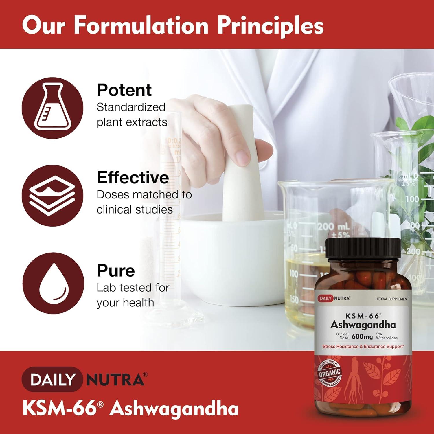 KSM-66 Ashwagandha 600mg DailyNutra - Suplemento Natural 60 Cápsulas