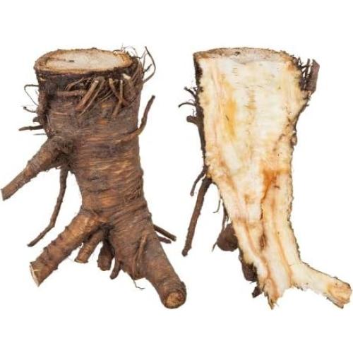 Raíz de Angélica Health Embassy 100g - Té Natural Libre de OGM