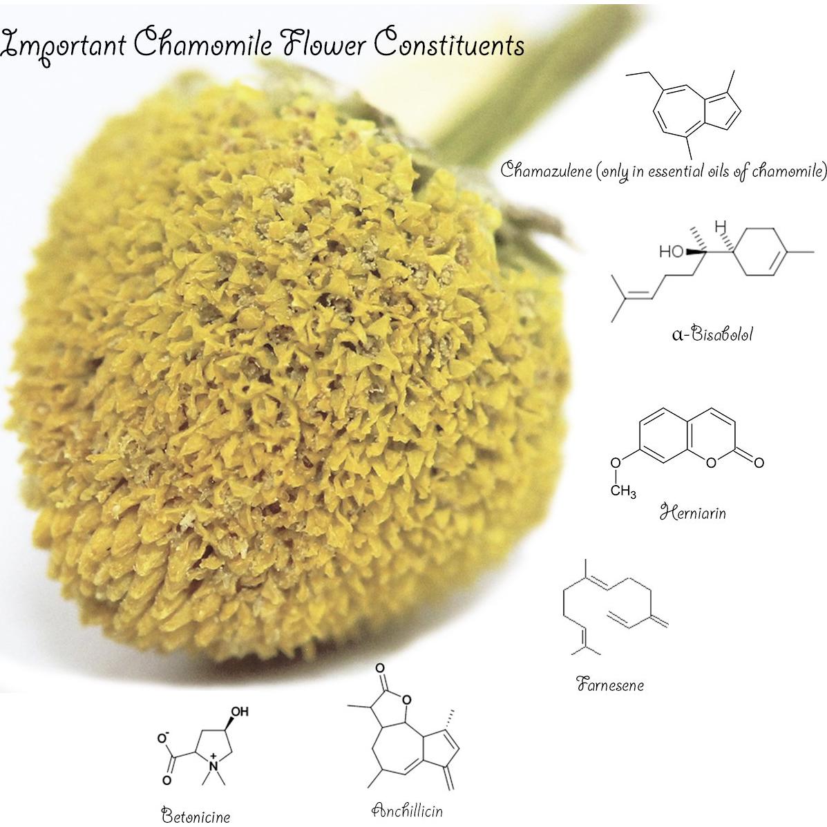 Té de Manzanilla Orgánico 1kg U.S. Wellness - Flores Sueltas