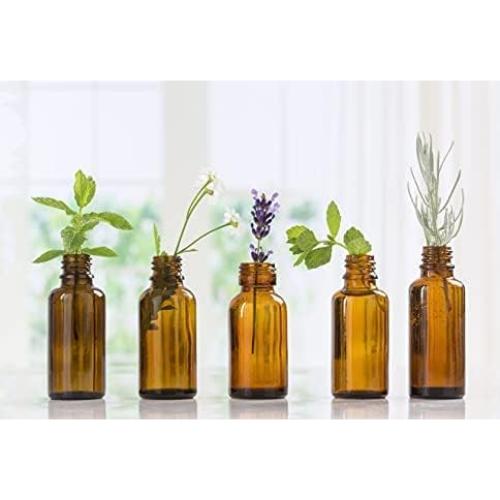 Aceite Esencial de Ciruela Asiática Nature's Note 29.6 ml