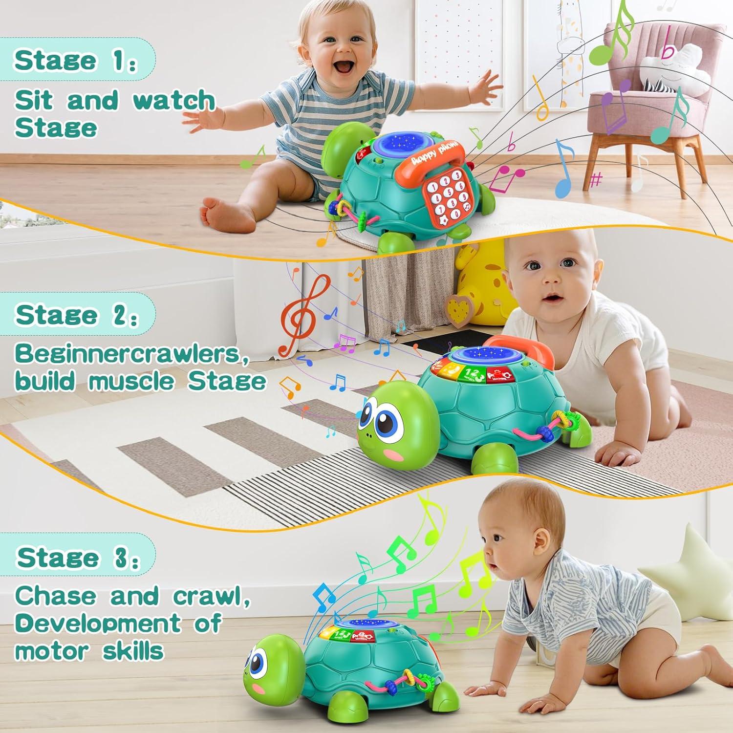 Tortuga Musical para Gatear Meehuan 6-12 Meses con Luz y Sonido