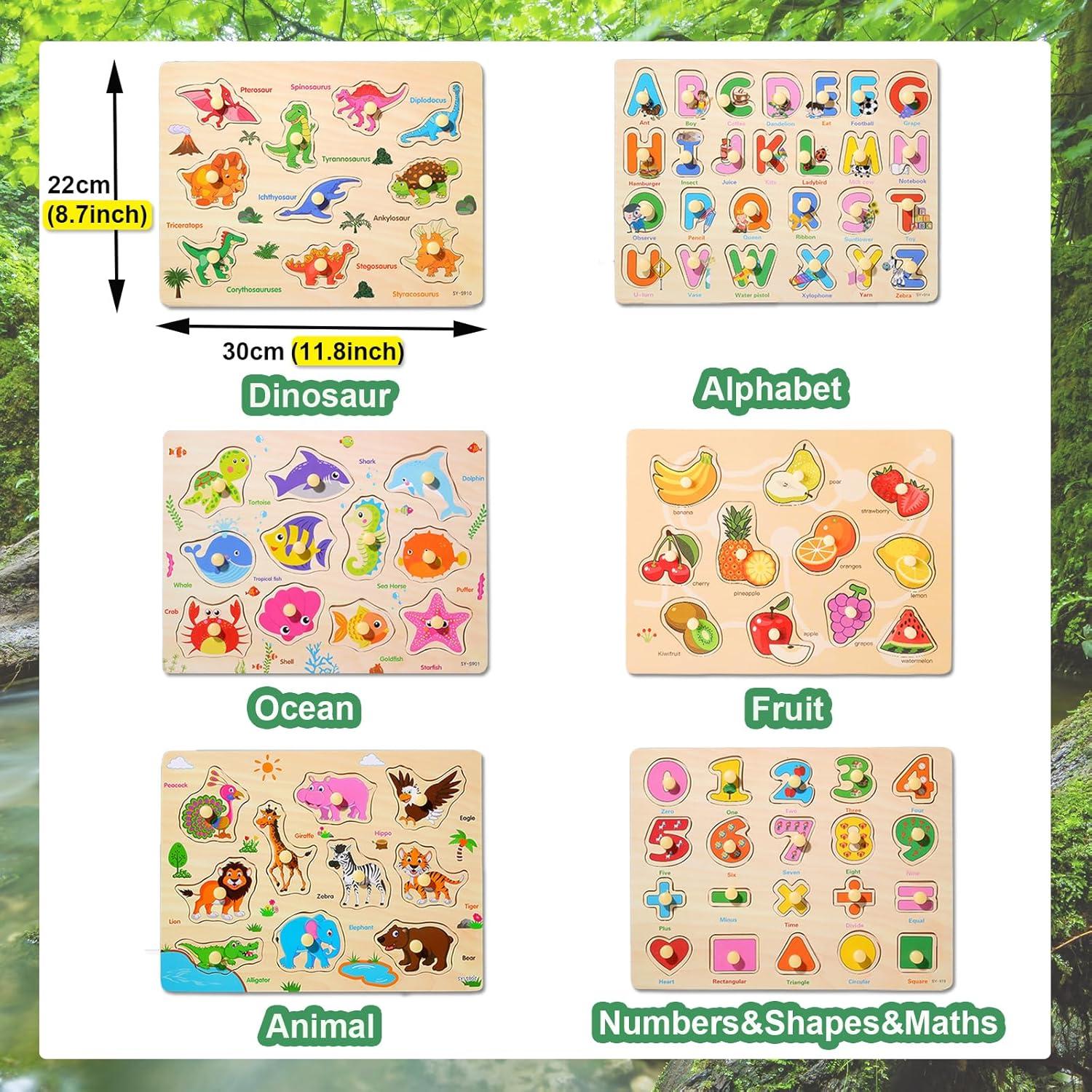 6 Rompecabezas de Madera Educativos para Niños 2-5 Años