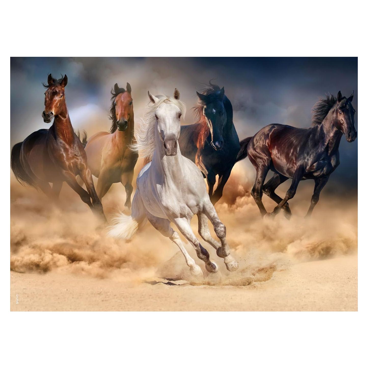 Rompecabezas LI-LOVE 500 Piezas Caballo Cartón Grueso 52x38cm