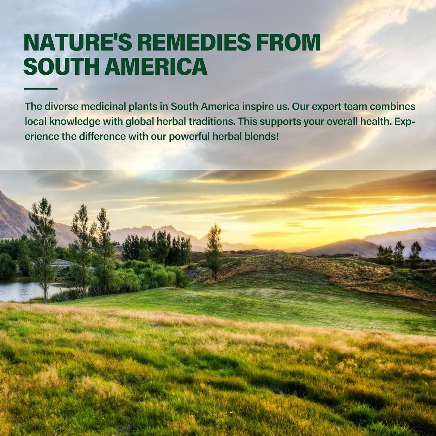 Cápsulas de Kava Kava DetoxenNATURE 90 Unidades - Sueño y Calma