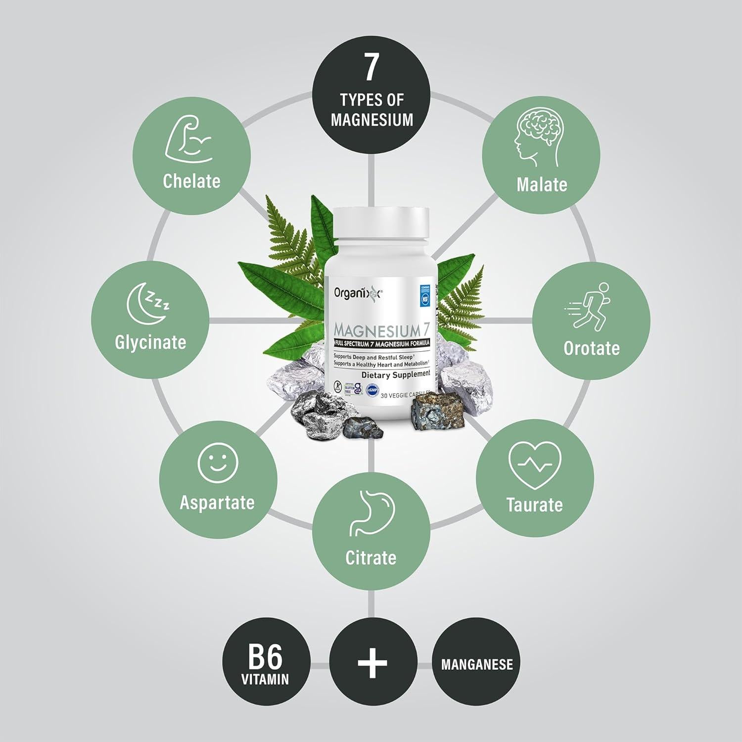 Suplemento de Magnesio Organixx 30 Cápsulas Veganas Alta Absorción
