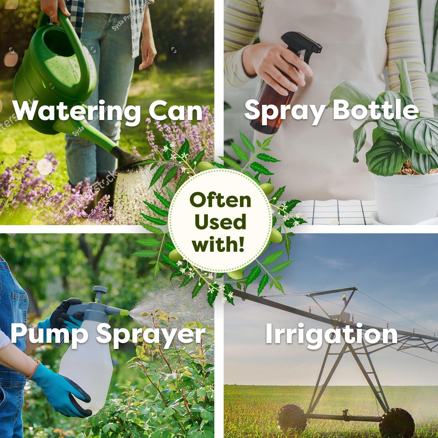 Aceite de Neem Puro 100% Mejor Naturales 0.47L Prensado en Frío