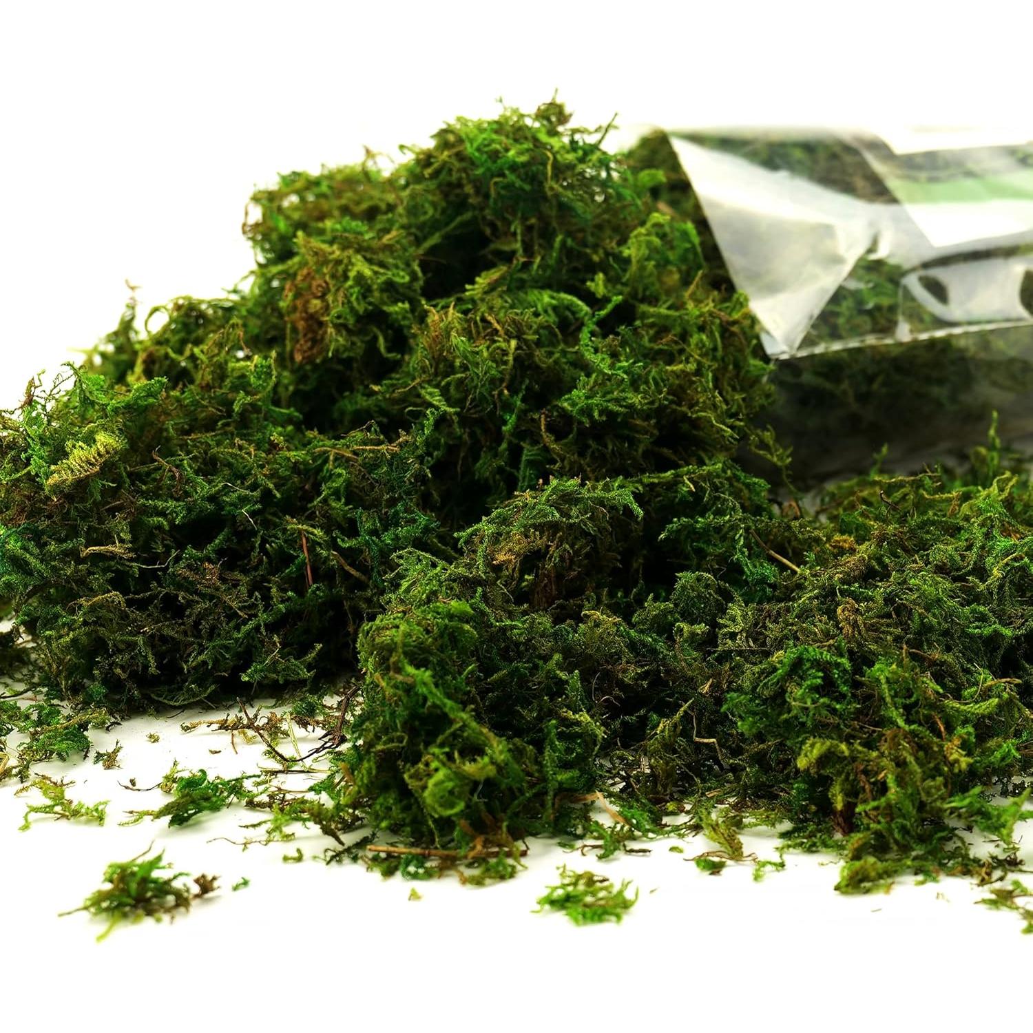 Musgo Artificial Verde Fresco CIICRO 16OZ para Plantas y Manualidades