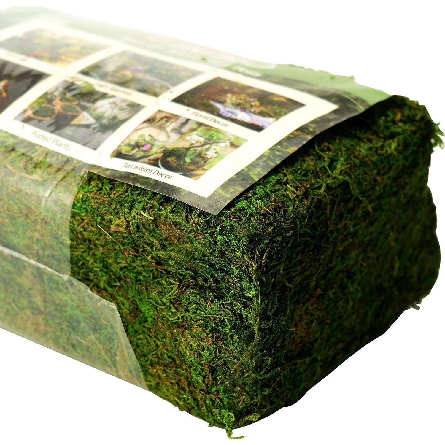 Musgo Artificial Verde Fresco CIICRO 16OZ para Plantas y Manualidades