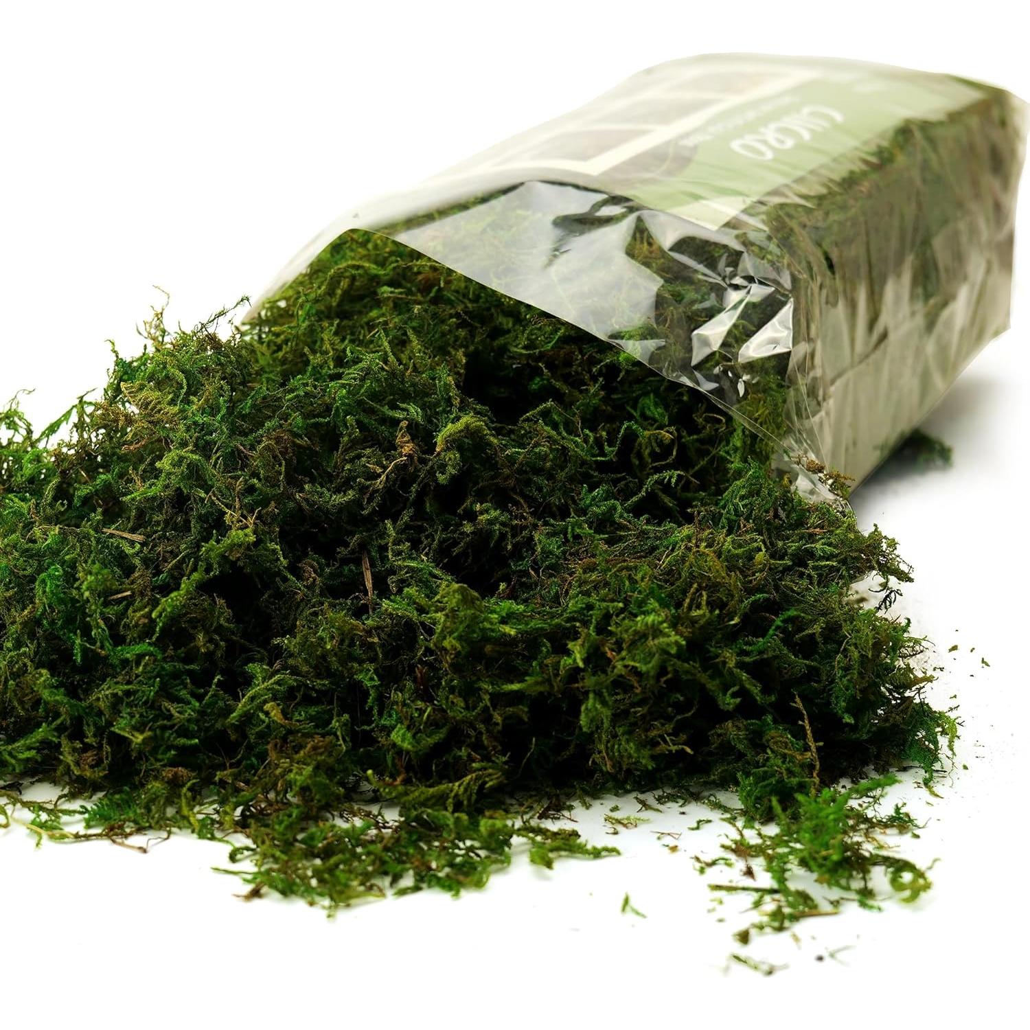 Musgo Artificial Verde Fresco CIICRO 16OZ para Plantas y Manualidades