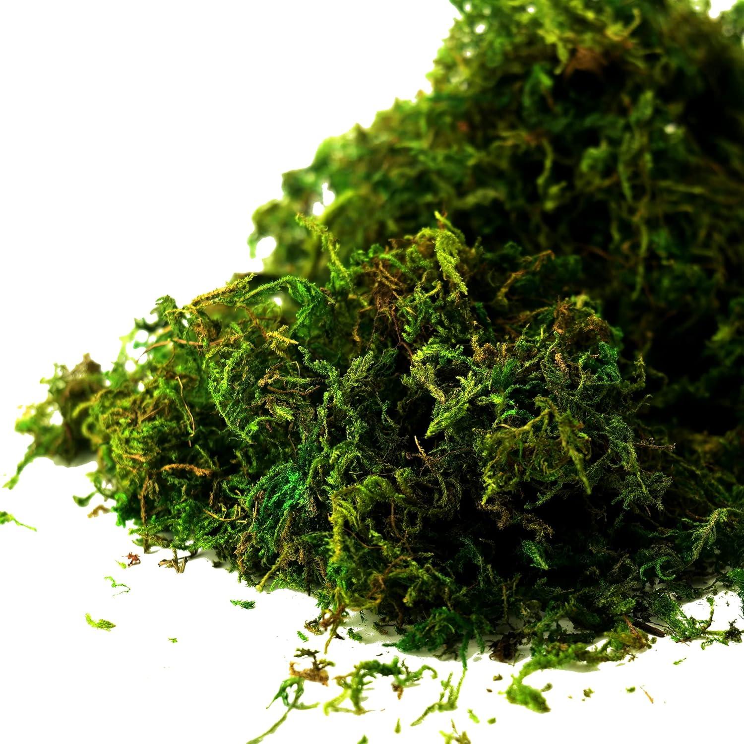 Musgo Artificial Verde Fresco CIICRO 16OZ para Plantas y Manualidades