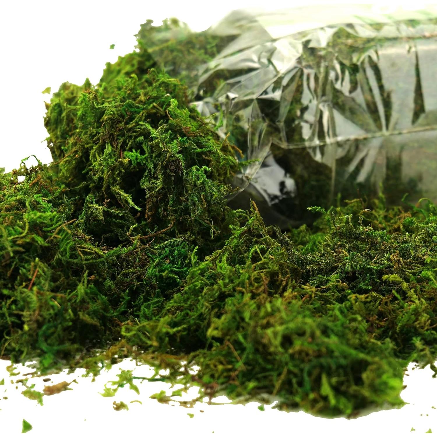 Musgo Artificial Verde Fresco CIICRO 16OZ para Plantas y Manualidades