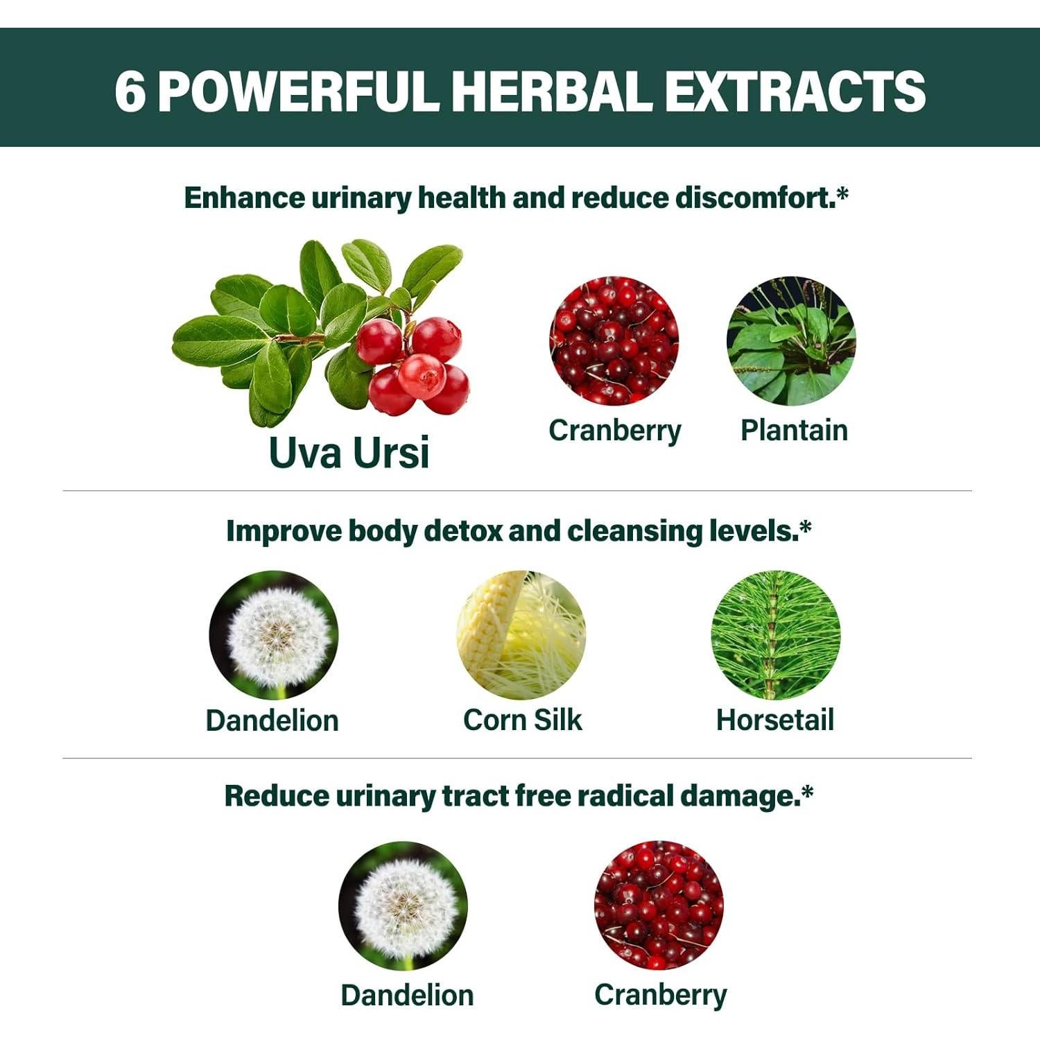 Gotas Diuréticas Uva Ursi Fuenvegtal 60ml Detox Salud Urinaria