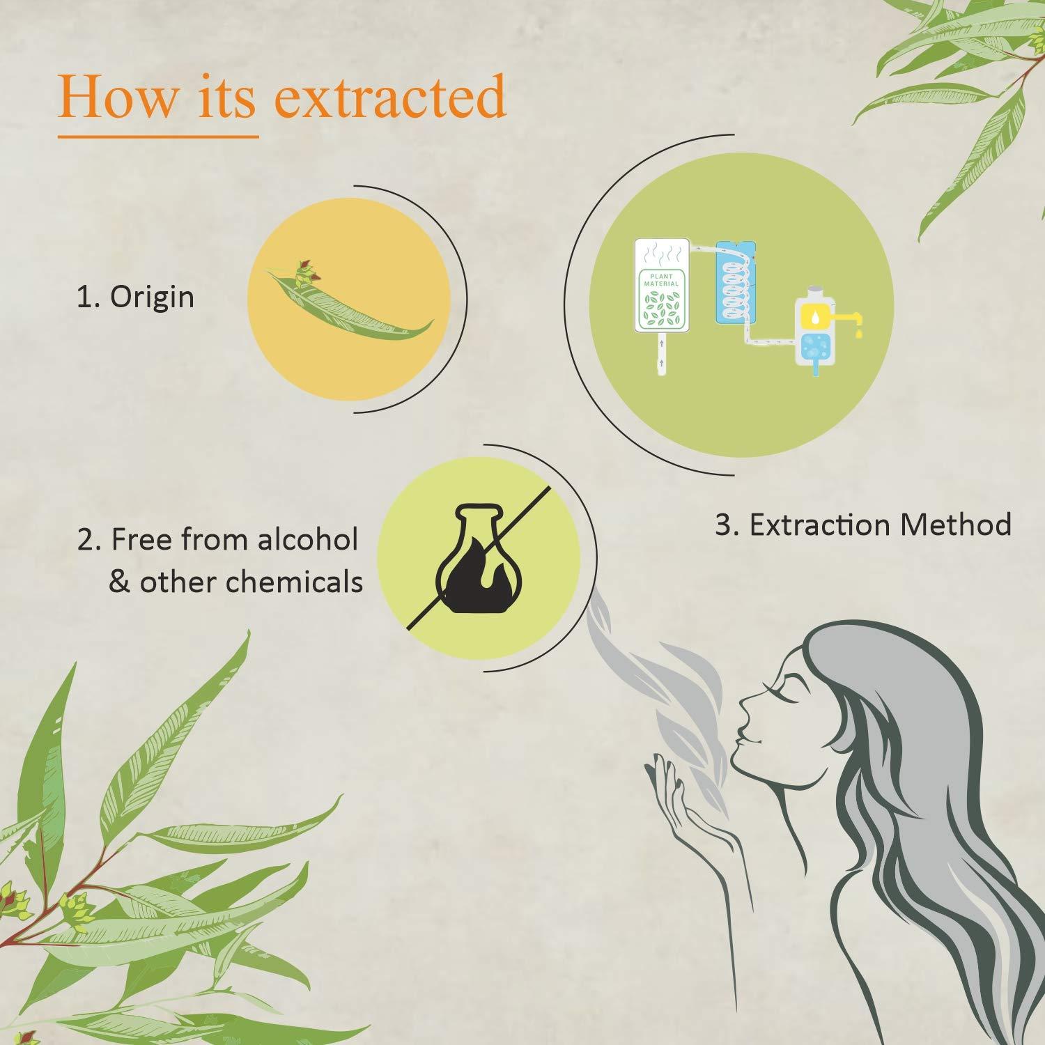 Aceite Esencial de Eucalipto Florona 100% Puro 118 ml