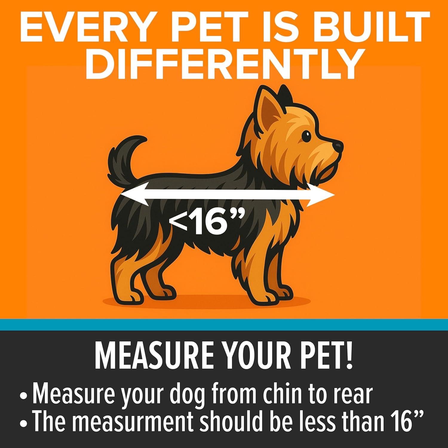 Asiento de Coche para Perros K&H Buckle N Go XS 40.6x35.6x35.6cm