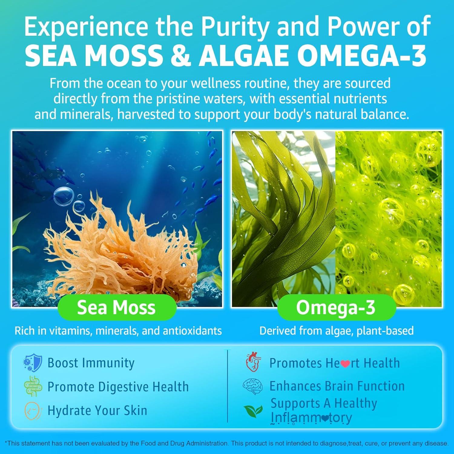 Gomitas de Musgo Marino Nextdia 60 Unidades Veganas Omega-3