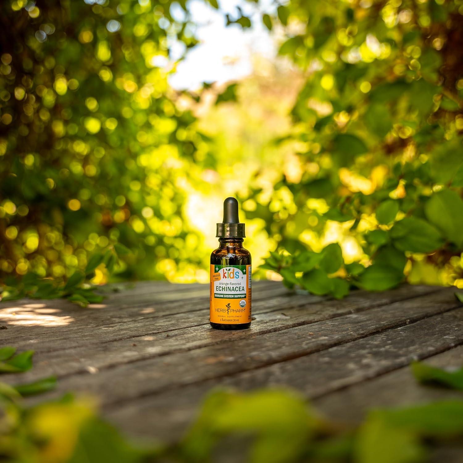 Extracto Líquido de Glicerina de Equinácea Herb Pharm 30 ml