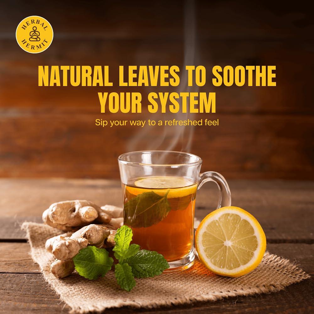 Bolsitas de Té Herbal de Jengibre y Limón Herbal Hermit - 50 Unidades
