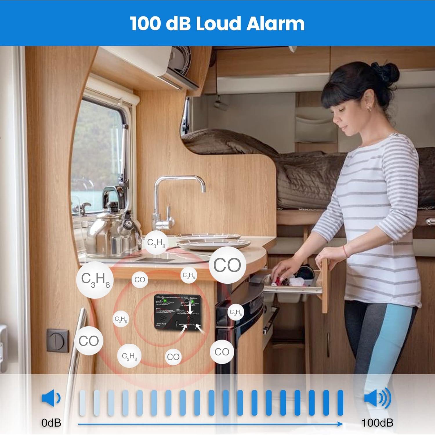Detector de Monóxido de Carbono y Gas Propano Briidea 12V