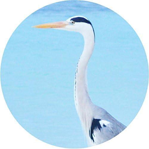 Monóculo Kenko 7x18 Compacto con Funda y Correa