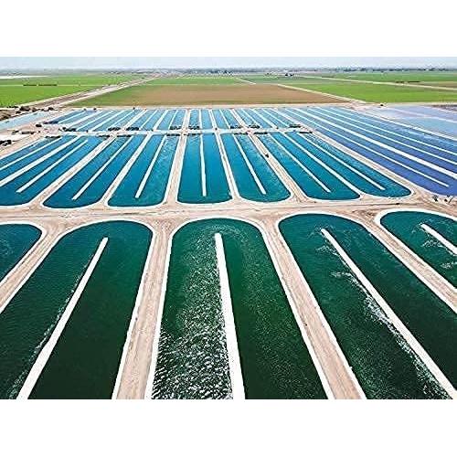 Espirulina 100% Natural Earthrise 500mg 180 Tabletas Veganas